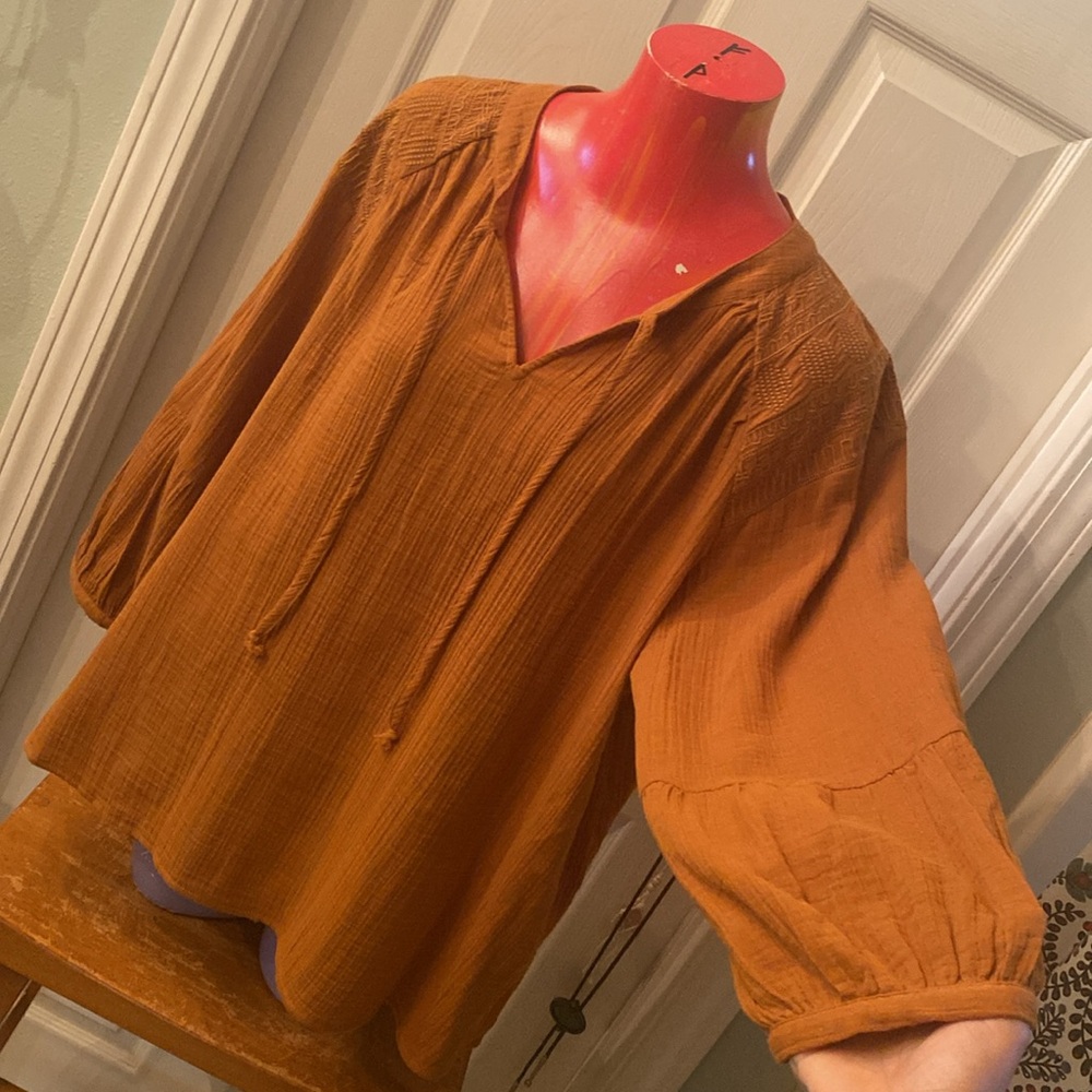 WONDERLY Rust V-Neck Blouse - Picture 3 of 12